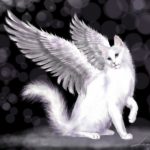 Картинка для Белая кошка