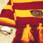 Аватар (Hat screaming Gryffindor)