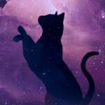 Картинка для Moon cat