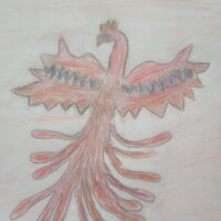 Феникс Янгус