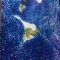 ◇★Птица – Гром★◇