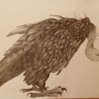 ❤️>>¥¥♔МогучаЯ  ПташкА♔¥¥