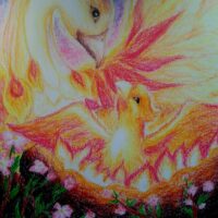 🔥 Фениксы | Из пепла... 🔥