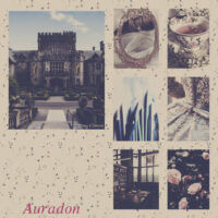 𝘼𝙪𝙧𝙖𝙙𝙤𝙣      “Наследники”