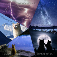 Мир котов - воителей.