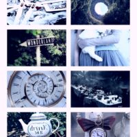 - Алиса, постой! | Страна Чудес