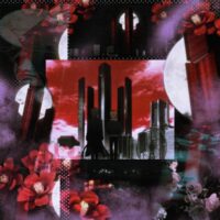 Мир бродячих псов ♥️