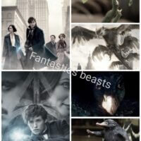 "Фантастические твари и где они обитают" //обожаю этот фильм//