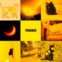 —thunder clan. the bravest. 