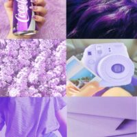 сиреневый рай