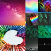 Радуга, зелень, и тень...