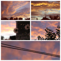 Закат. Эстетика розового и золотого