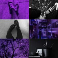 Любимые цвета