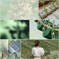 green green green green green