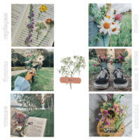 {💐} м♡я эстетика