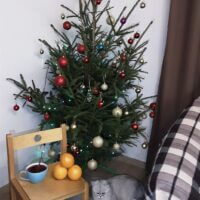 С Новым годом)