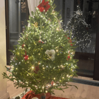 В реале наша елка в 1000 раз красивее... ну, ладно, так тоже сойдёт:) 🎄