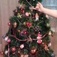 Ёлка-красотка!