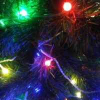 елки-палки (~￣³￣)~