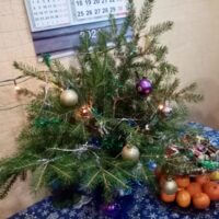 Ёлка 2021! С новым годом!