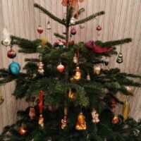 Новогодняя ёлочка.