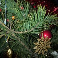 С Новым годом и Рождеством!