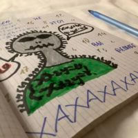 Открываю я тетрадку по алгебре... 