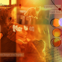 𝖈𝖆𝖙𝖘 𝖆𝖊𝖘𝖙𝖍𝖊𝖙𝖎𝖈 | да, я не сдержалась и стала коткой.