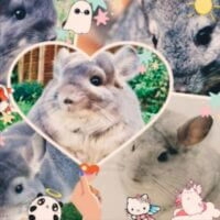 ~Ну зато я очень пушистый~