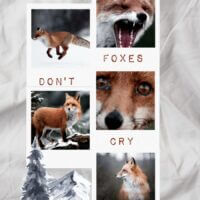 Мой тотем-лиса.