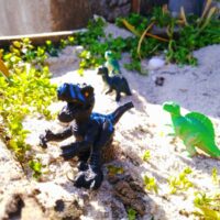 Юрский период: Ютараптор