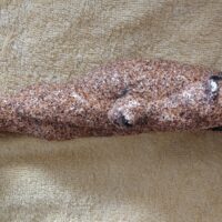 Эстетика Юга