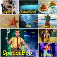 SpongeBob 🧽