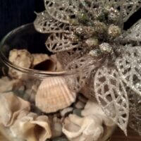 𓇽Ракушки𓇽