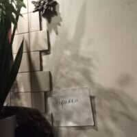 Заяц в кустах