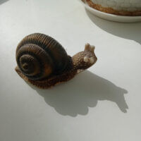 Улитка 🐌 чилит 