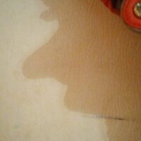 Кто-то с носом>>>>