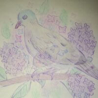 Будь я животным, я была бы птицей, сидящей на ветке сирени🌸