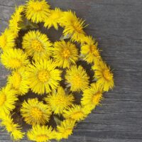 Цветочное сердечко.