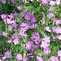 Во дворе художественного факультета