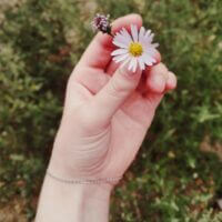 ❀°𝑆𝑝𝑟𝑖𝑛𝑔 𝑓𝑙𝑜𝑤𝑒𝑟°❀