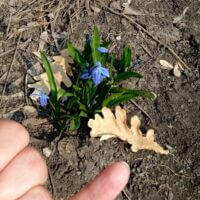 ~ Oh, I could hide 'neath the wings of the bluebird as she sings ~