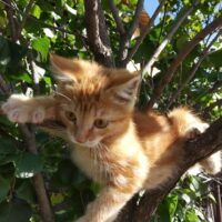 Солнышко проснулось новый день на дворе☀️🐱 ("Малышарики")