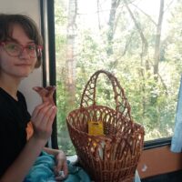 The green leaves of summer are calling me home 🍃☀ | The Green Leaves of Summer