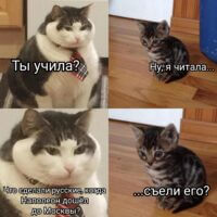 Когда пытаешься сдать непрофильный предмет 