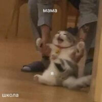 Это слишком жизненно чтобы назвать это "жизой"