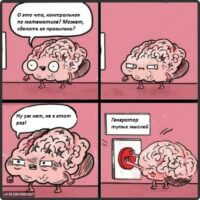 Мой мозг на контрольной
