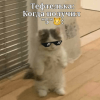 °•И тебя даже похвалил учитель :>•°