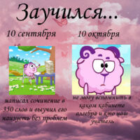 Заучился... Передозировка знаний) 