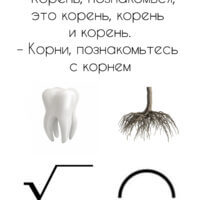 Представляю вашему вниманию.. Корни!
